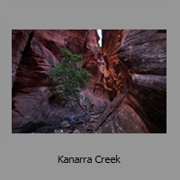 Kanarra Creek